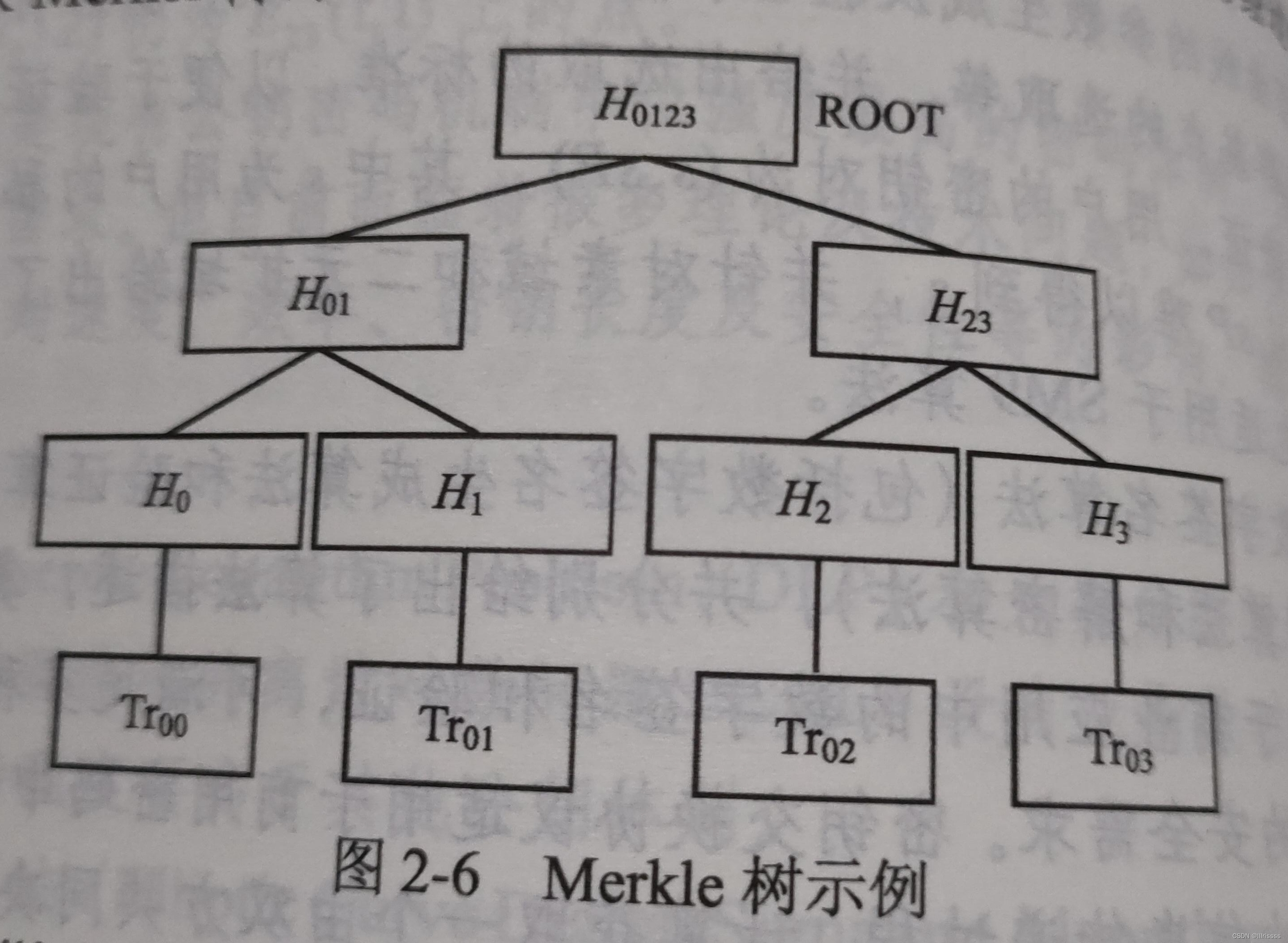 一个区块链有几个哈希值(区块链里 一个节点对应多少个账号)