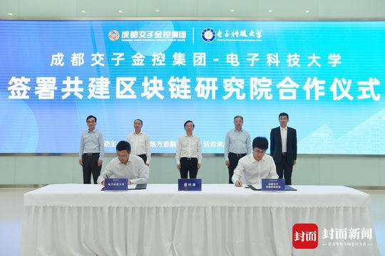 成都高新区块链企业排名(区块链十大黑马公司)