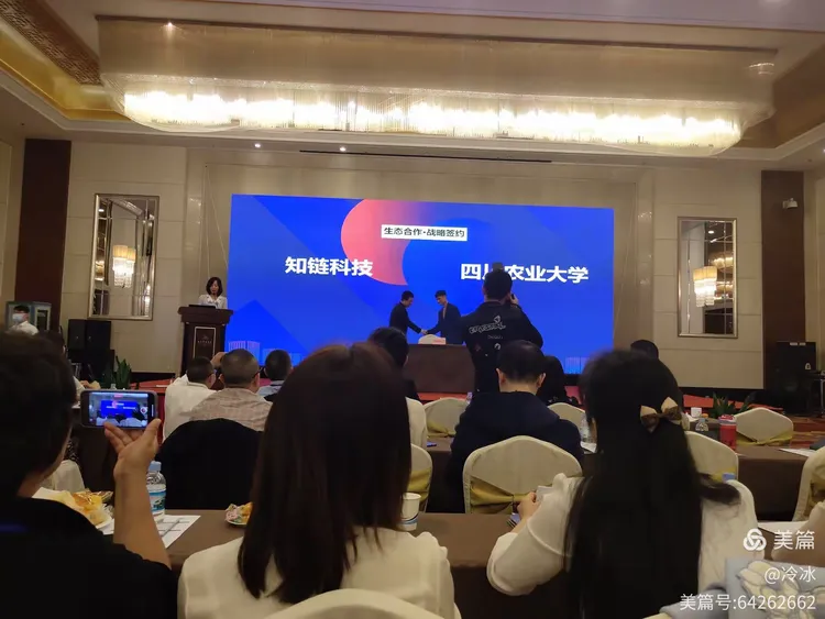 湖南区块链培训机构有哪些(全国十大编程培训机构)